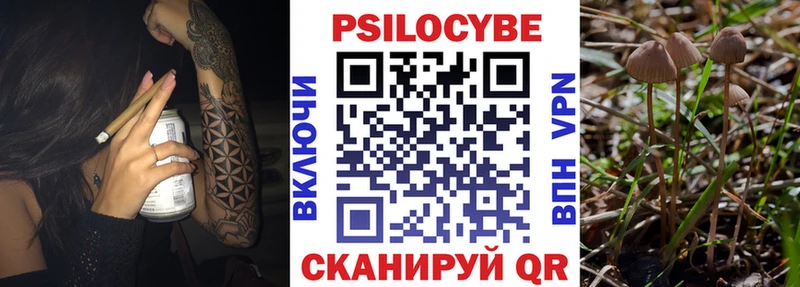 Галлюциногенные грибы мицелий Урень